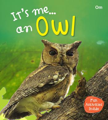 It's Me… an Owl