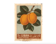 Stamp Story: Apricot Sticker Replica