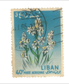 Stamp Story: White Flower Sticker Replica