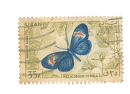 Stamp Story: Butterfly Blue Sticker Replica