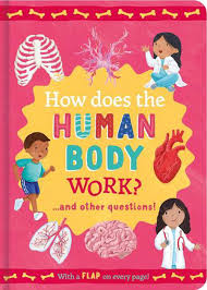 Mini Question and Answer Lift the Flap: How does the Human Body Work?... and other questions!